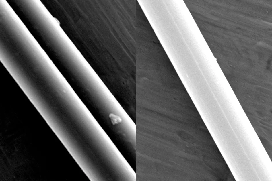 A scanning electron microscope image of spider silk strands