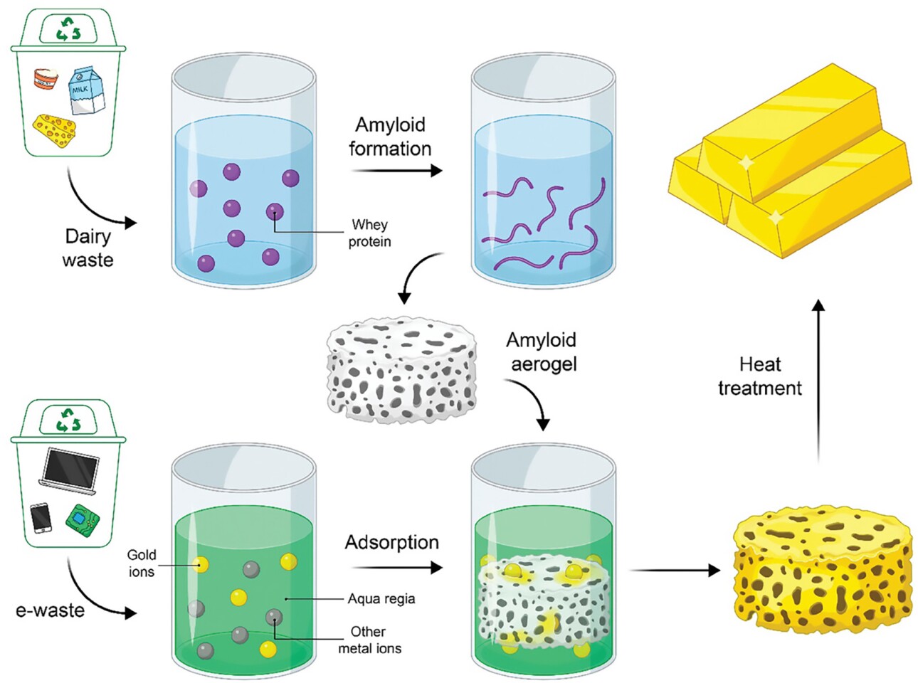 Schematic of the process of recovering gold from electronic waste using a food industry byproduct