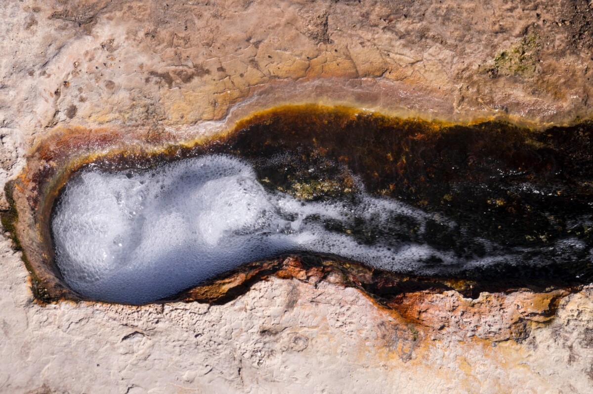 The researchers found that isolated, distant populations of bacteria shared a surprising amount of genetic history