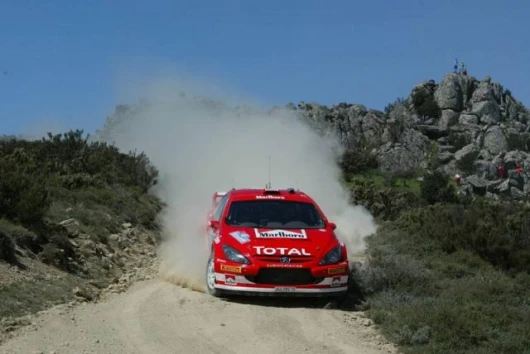 Marcus Gronholm took his Peugeot into third spot and helped to maintain a healthy lead in the points for the French marque.