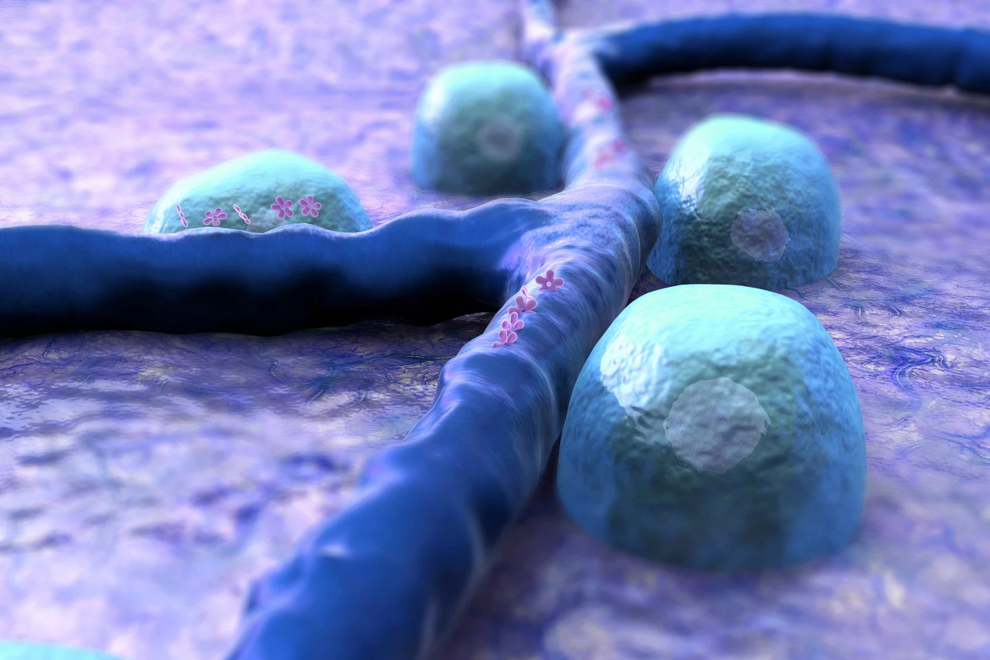 A daily tablet was found to slow the progression of diabetes if given early