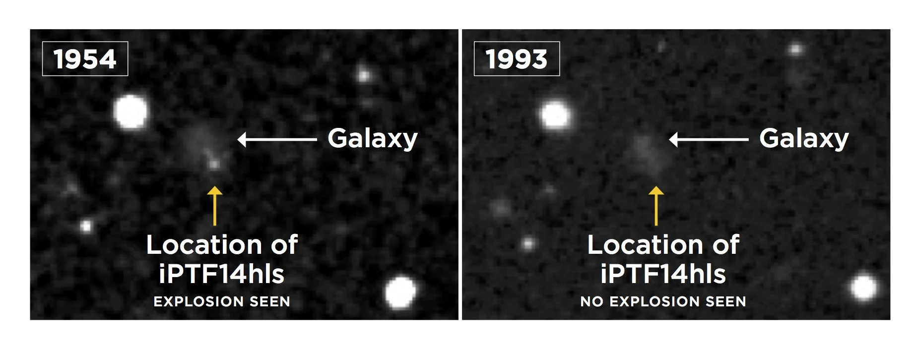 Archival images from the Palomar Observatory Sky Survey reveal that iPTF14hls appeared to go supernova in 1954, while no such event was detected in a later shot from 1993