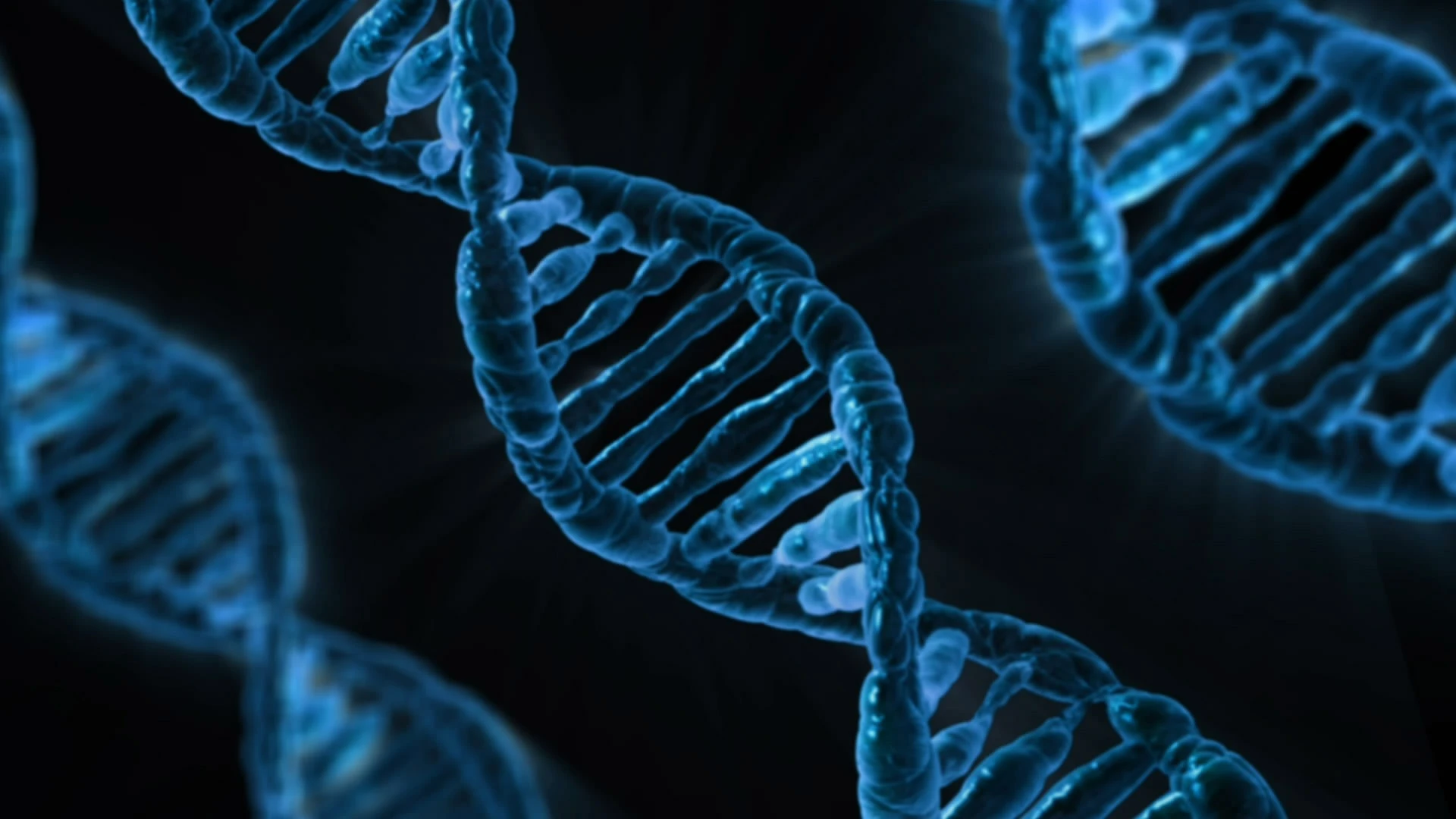 Made from DNA (pictured), the tiny thermometer could have a big impact on our understanding of molecular biology
