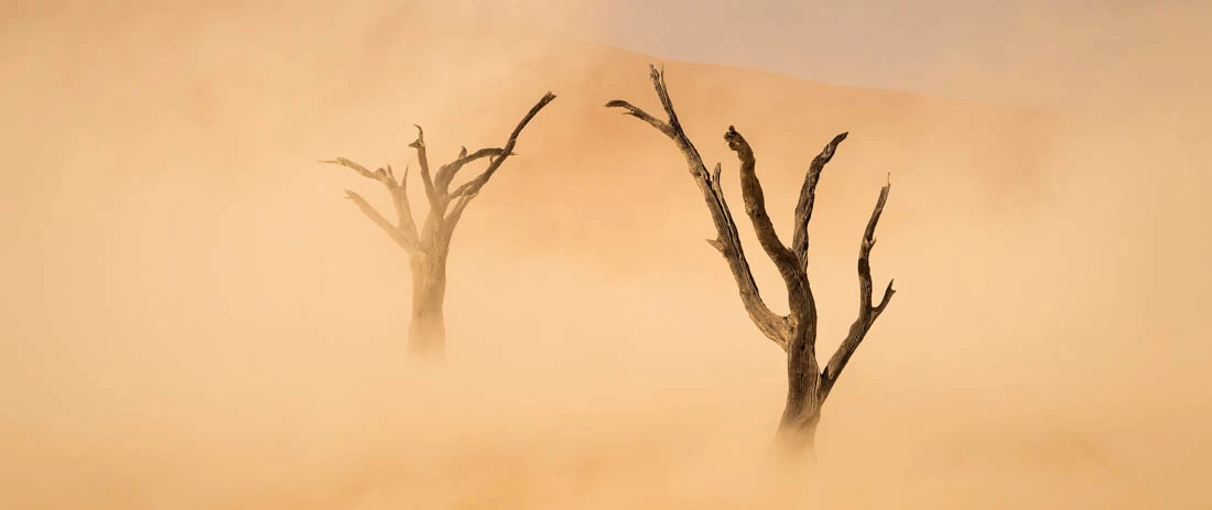 A highlight from the top 50 images in the Open, Nature category