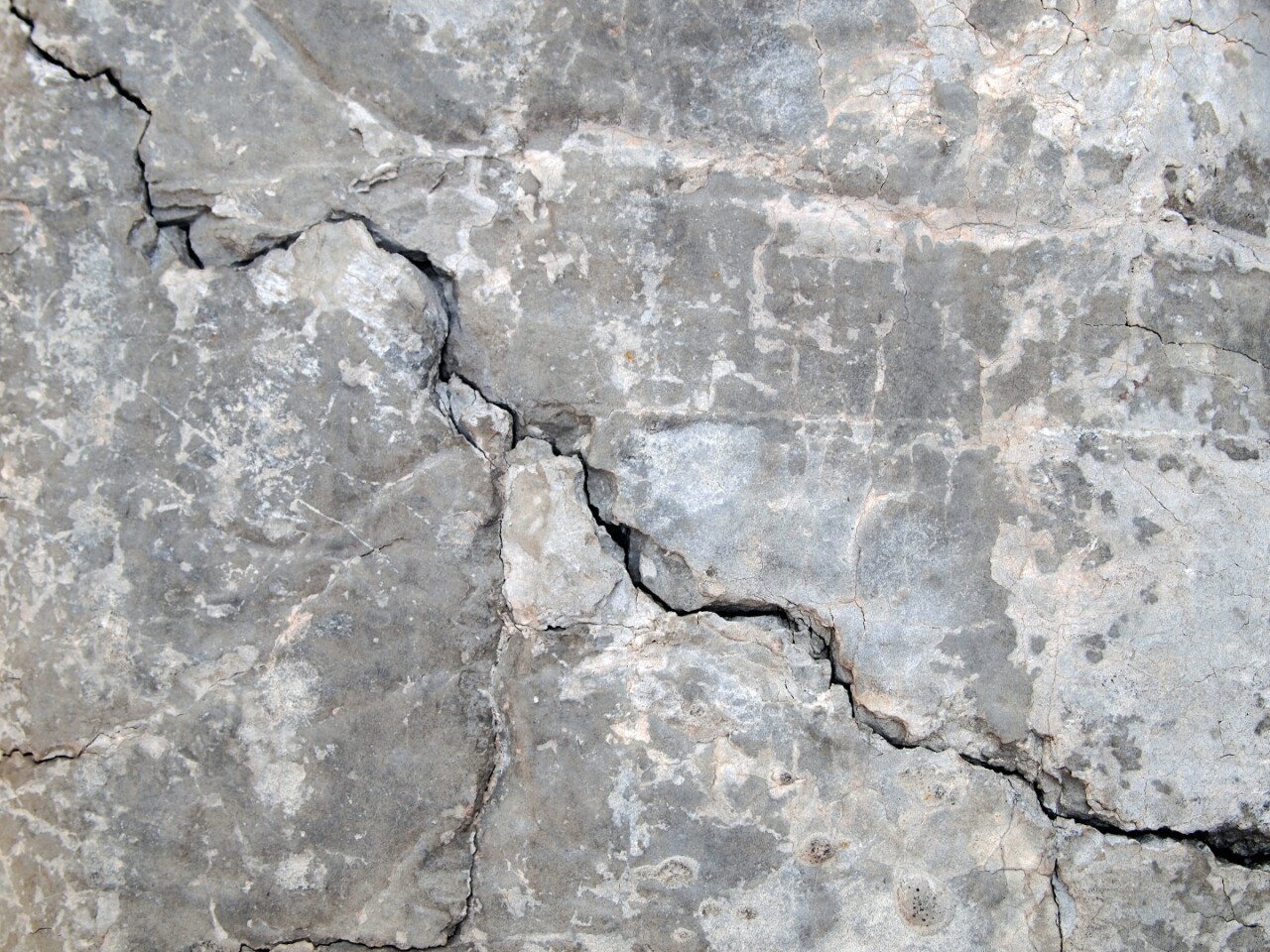 Selfhealing concrete uses fungus to fill cracks
