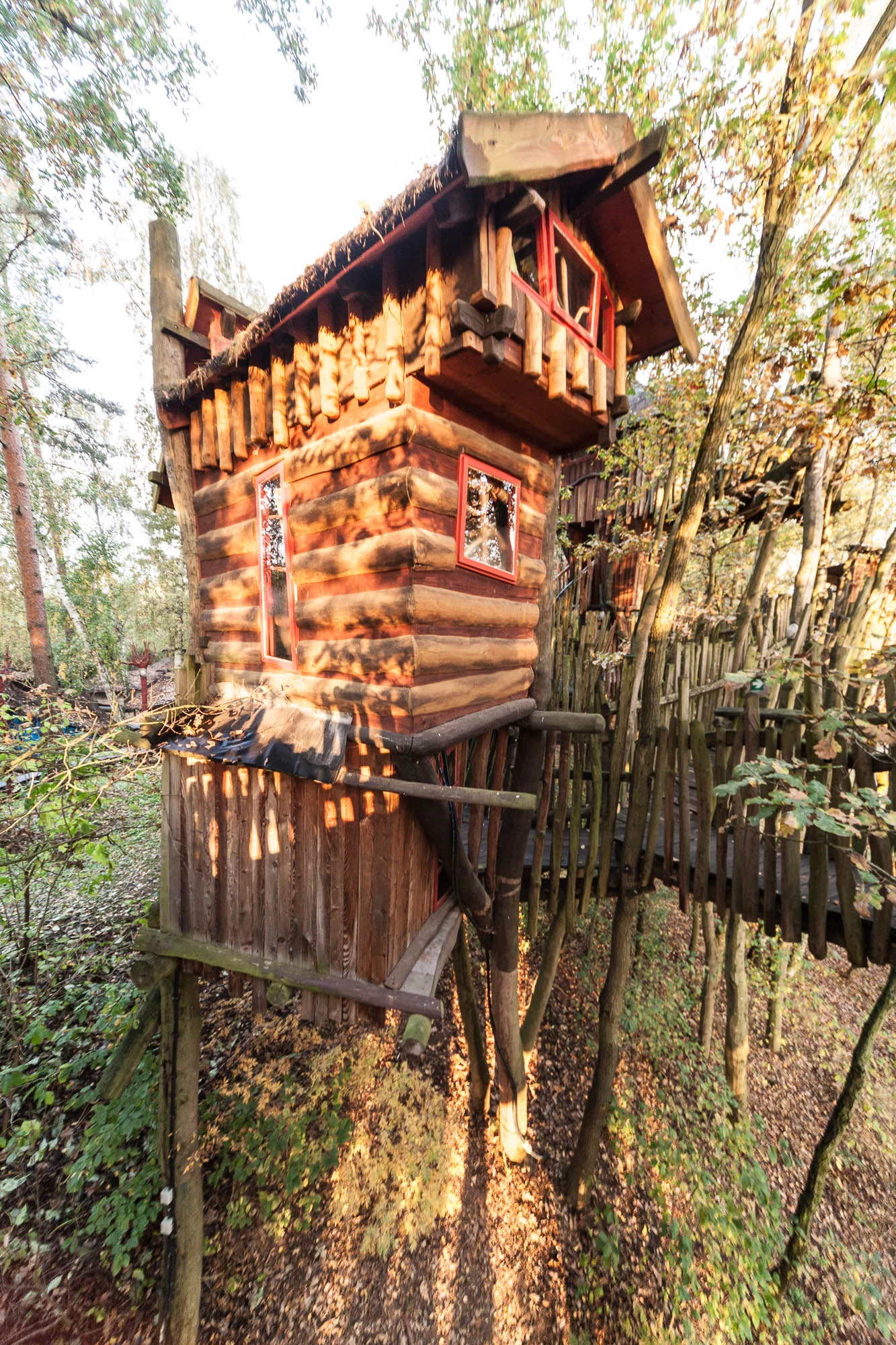 Kulturinsel Einsiedel: the treehouse hotel