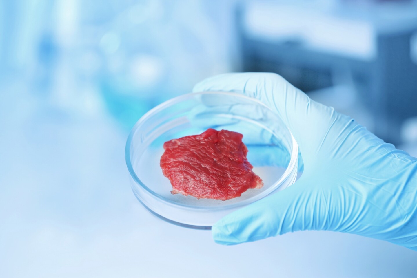Big beef looms over definition of labgrown meat