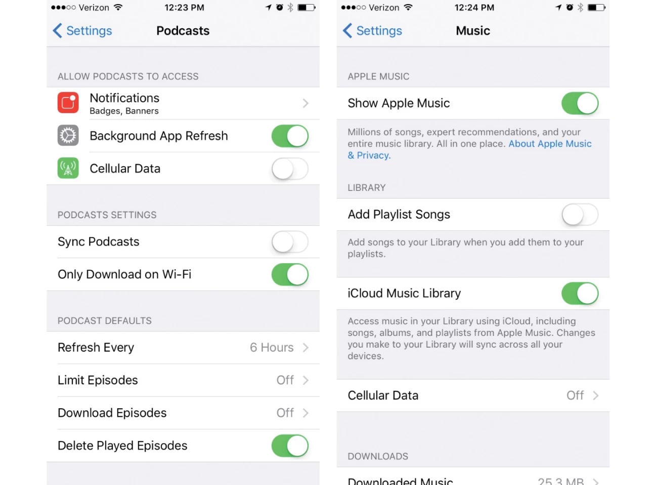 (L) Podcast settings (R) Music settings
