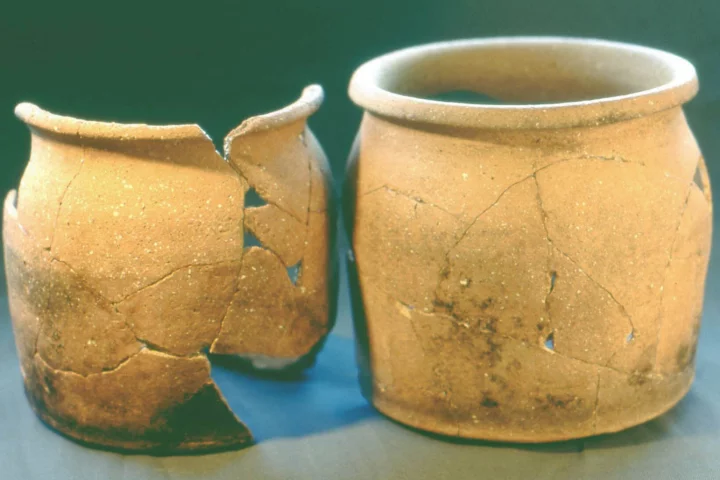 Food residues on pottery have provided insights into medieval English diets