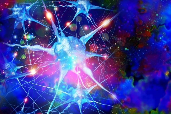 The naturally occurring hallucinogen, DMT, sped up brain recovery after a stroke