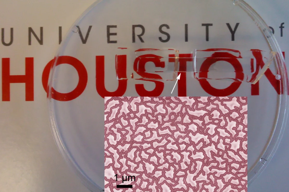 A close view of the nanomesh (inset)