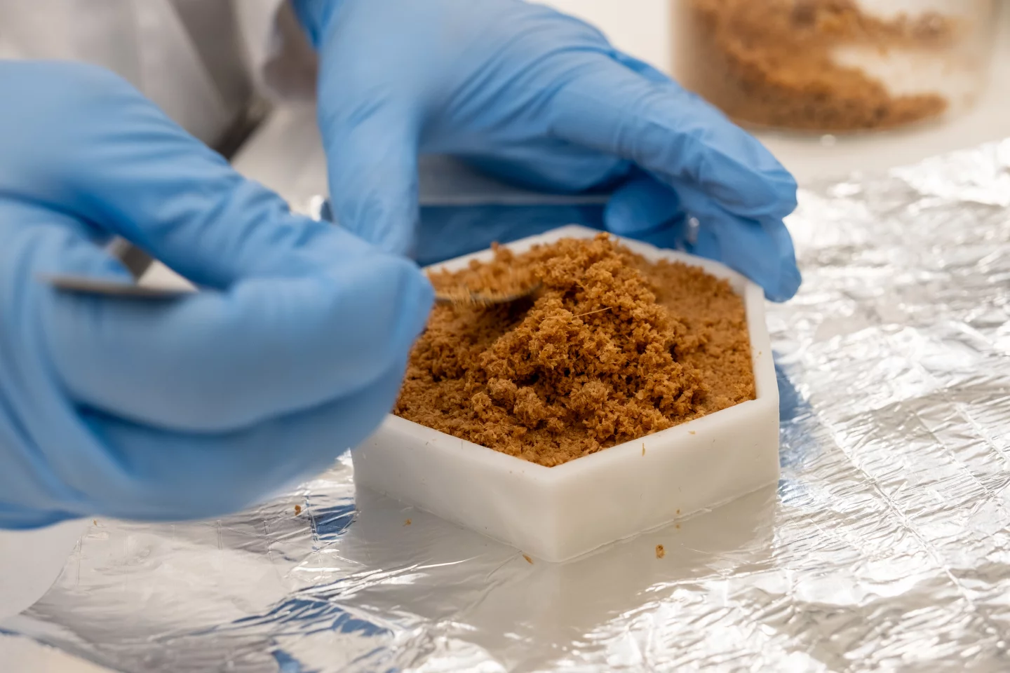 The bamboo-mycelium mix, as it is packed into the mold, resembles pork floss