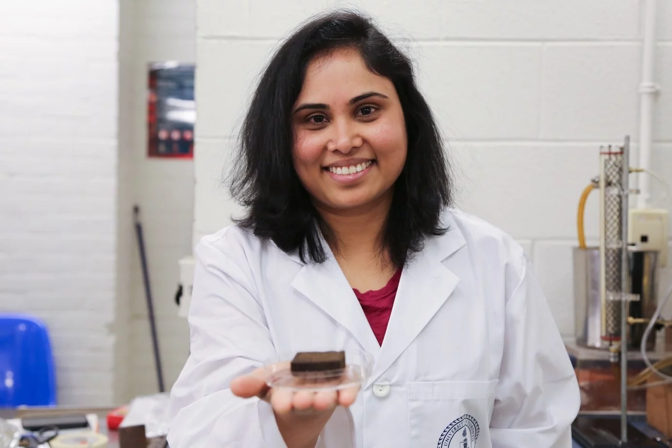 Dr. Pavani Cherukupally with the sponge, in her lab