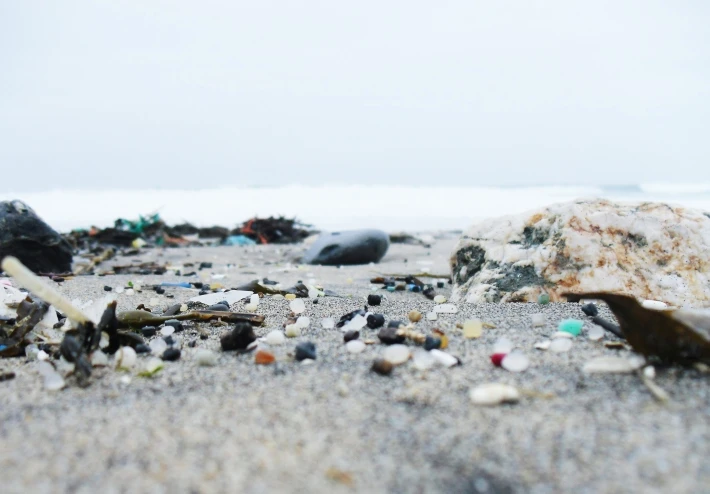Debris on the beach