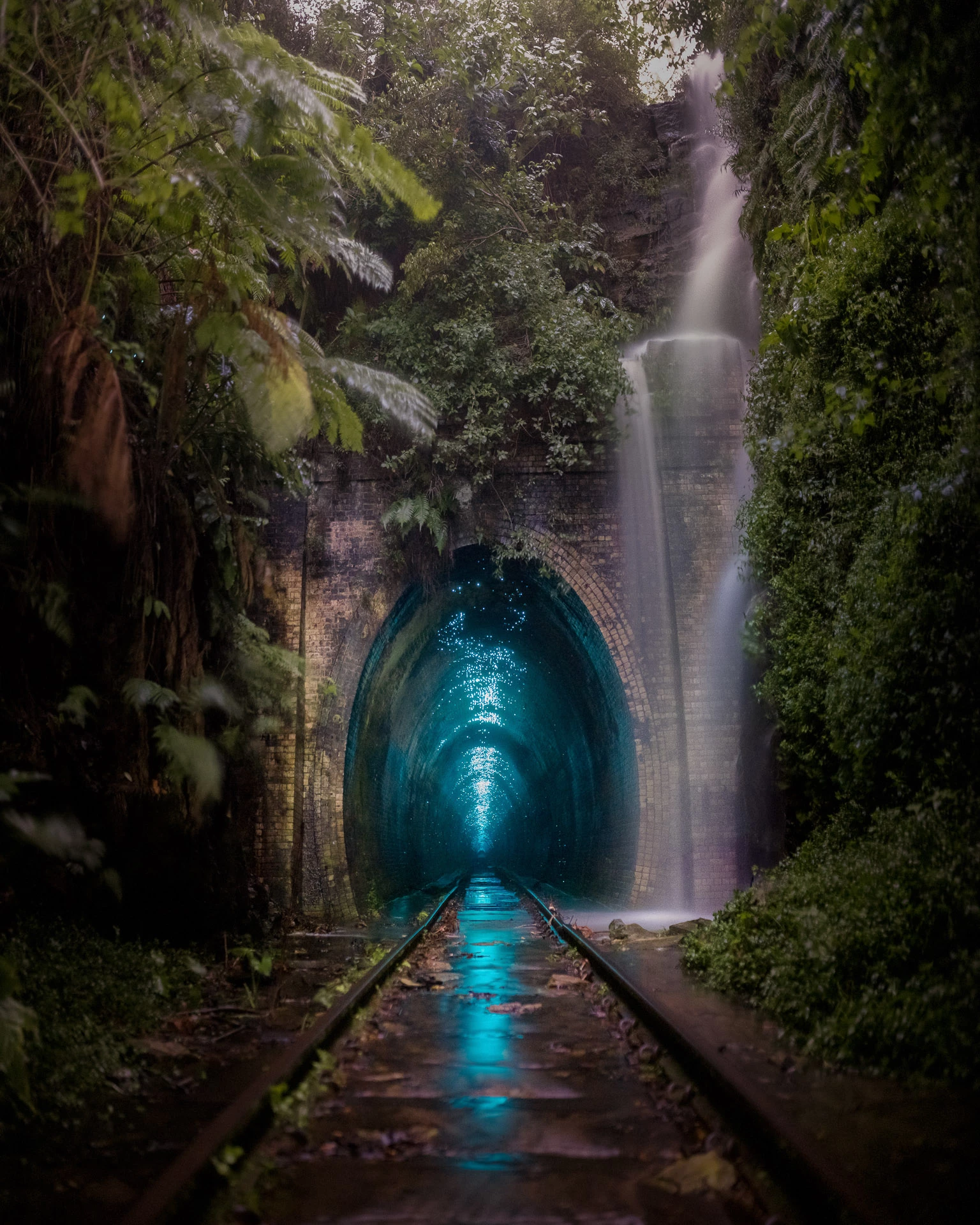 Urban Wildlife - Runner-up. "Glow Worm Metropolis". Helensburg, Australia