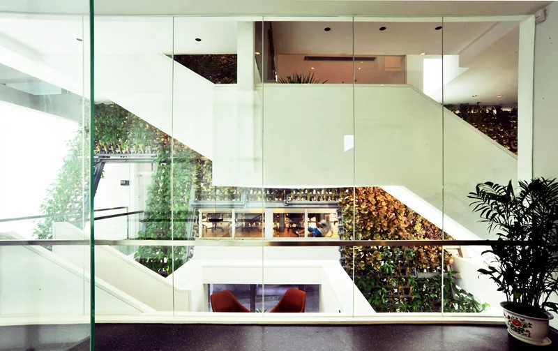 Greenery has a positive mental effect on office workers