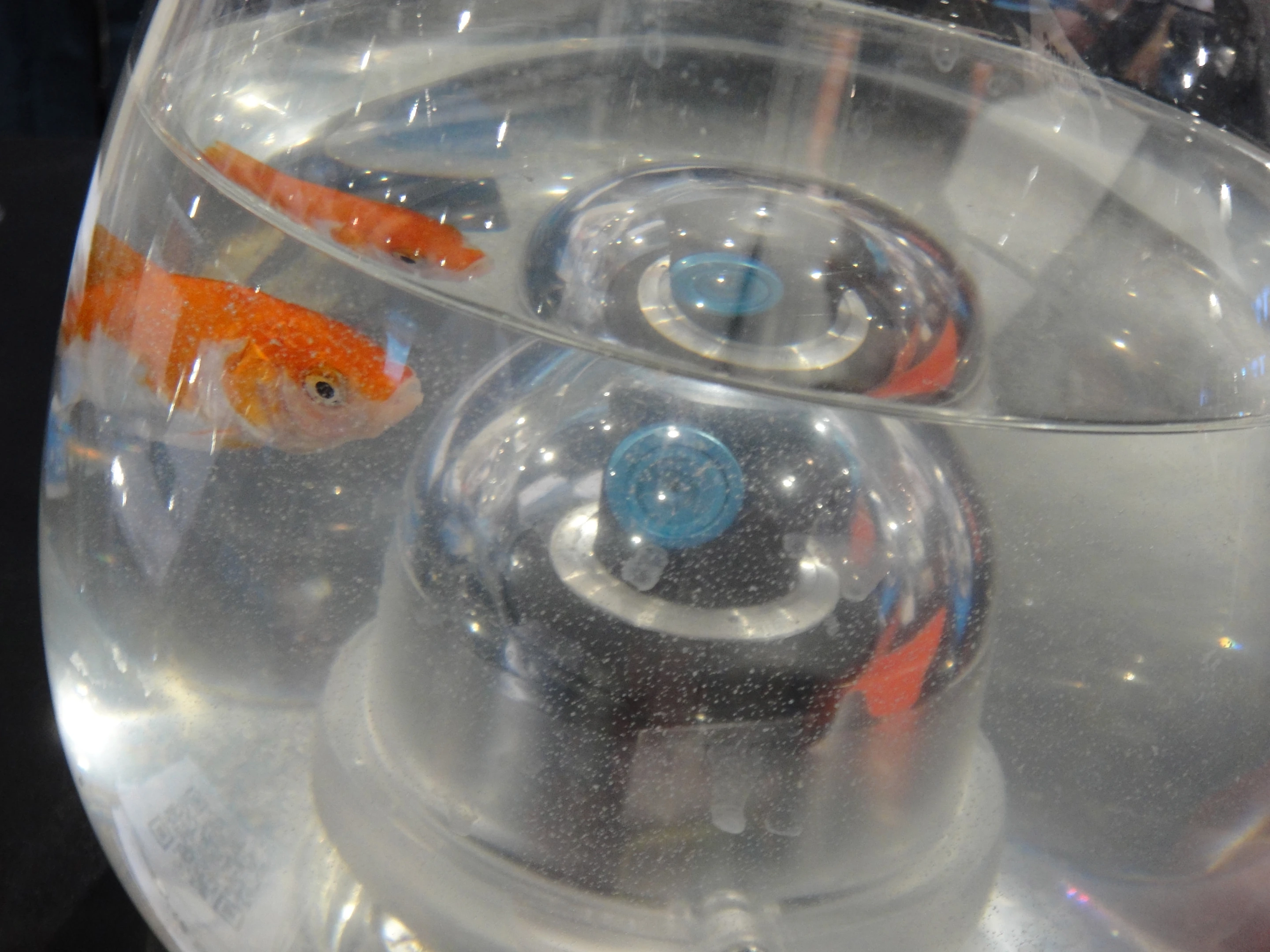 Geonaute on display at CES 2013