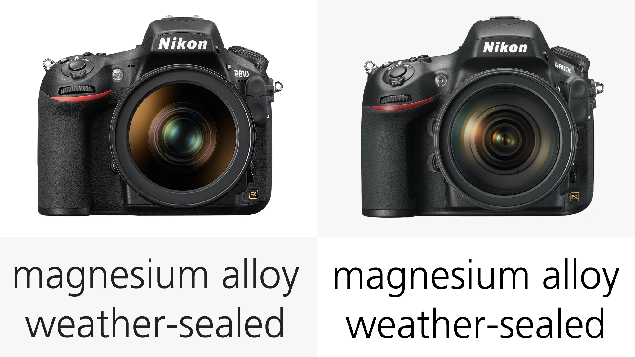 The D810 and its predecessors are all weather and dust sealed, meaning you shouldn't have to worry about using them in all but the most extreme conditions