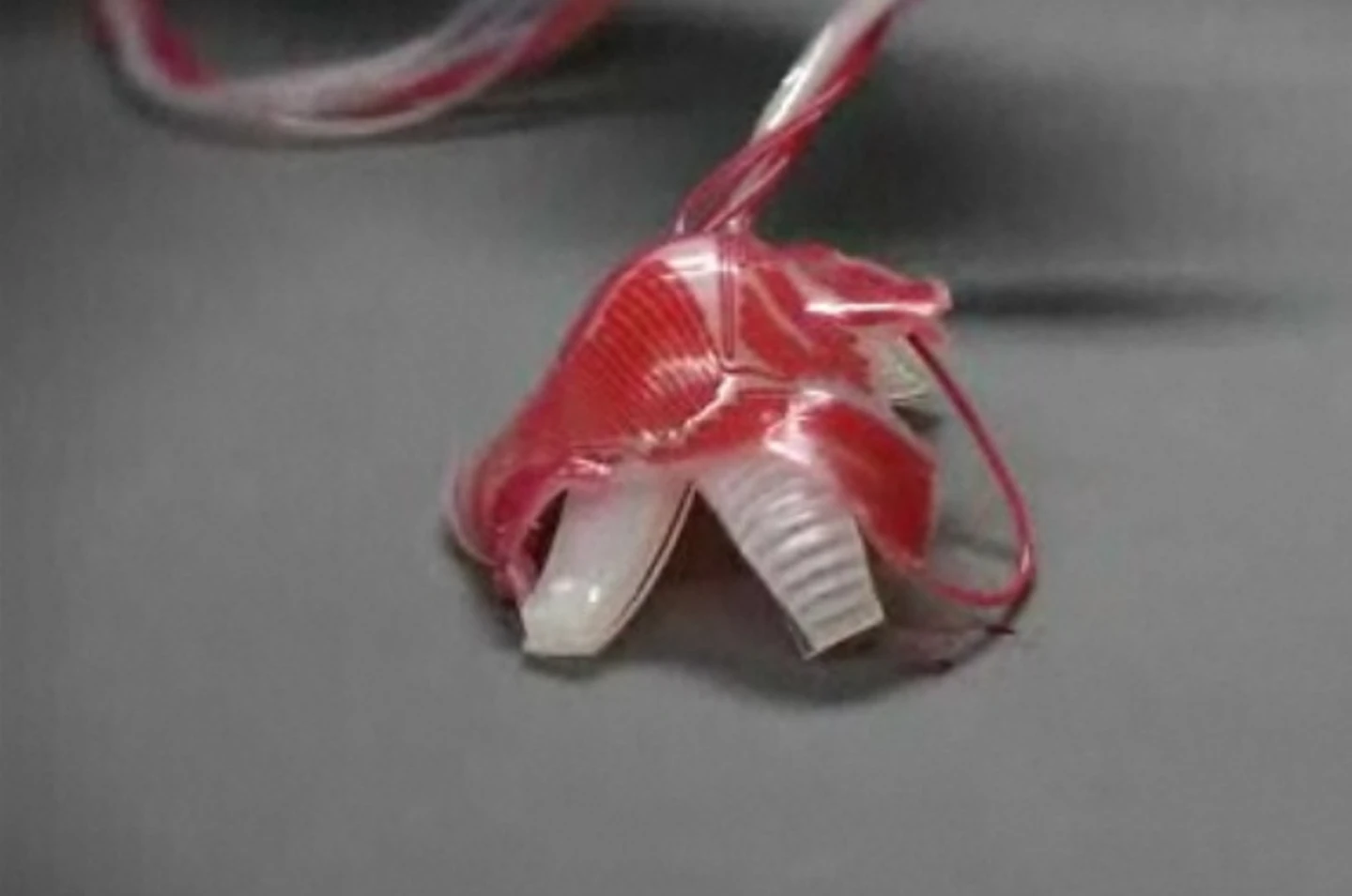 The robot moves by means of air pumped into its microchannels (Photo: Harvard University)