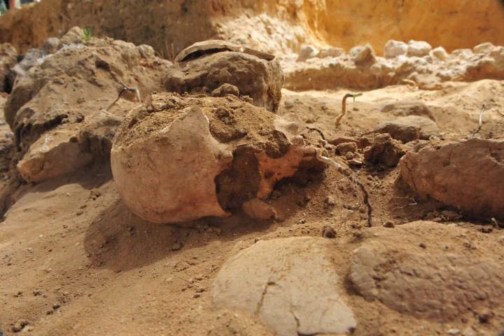 Did our ancestors turn to cannibalism out of convenience? A new study suggests that there was more involved to this practice than satisfying hunger pangs