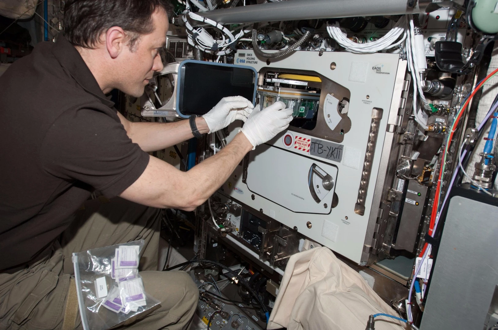 An ESA experiment aboard the International Space Station has looked at how seedlings grow in microgravity