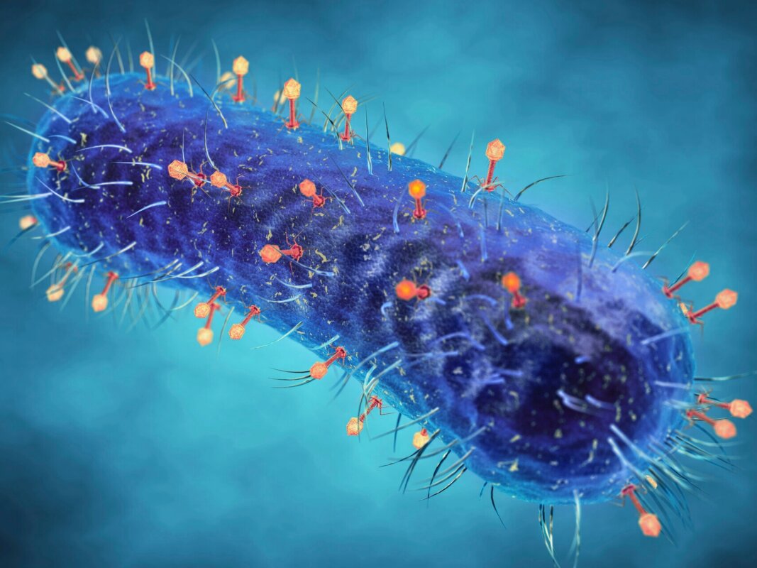 Virus found hiding in gut bacteria linked to colorectal cancer