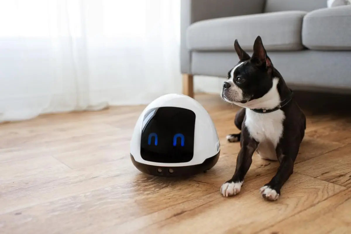 Mia's battery should last for about one week per charge, based on three 15-minute play sessions every day