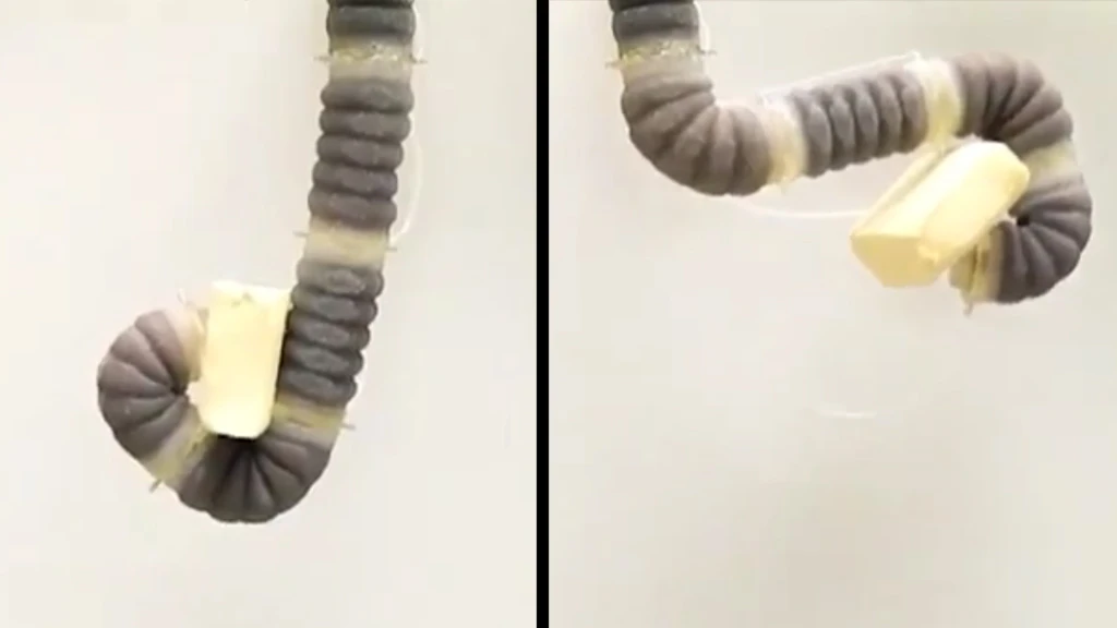 With multiple jamming segments and four control cables, the robotic arm can flex and grip like an elephant's trunk