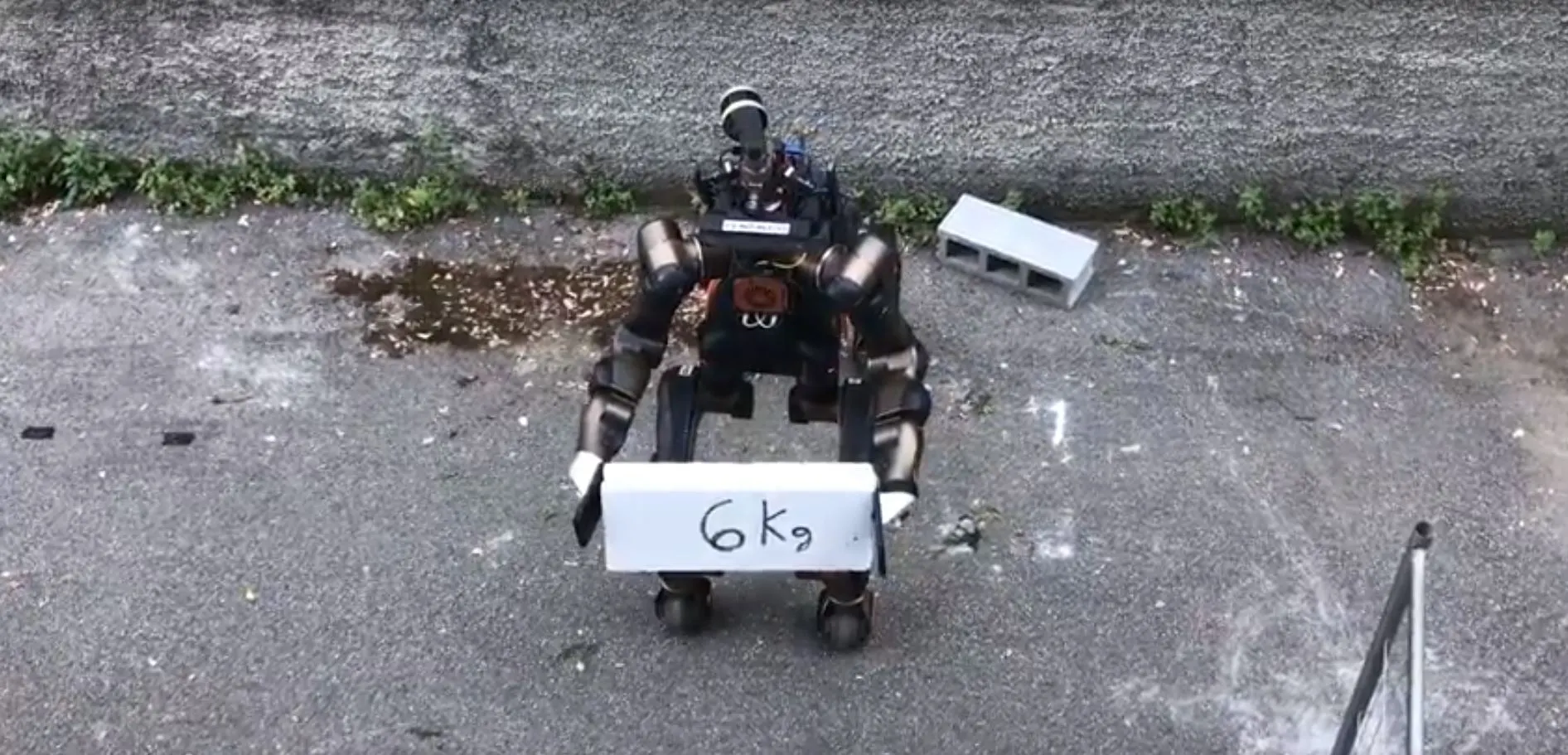 Centauro lifting a 6-kg weight