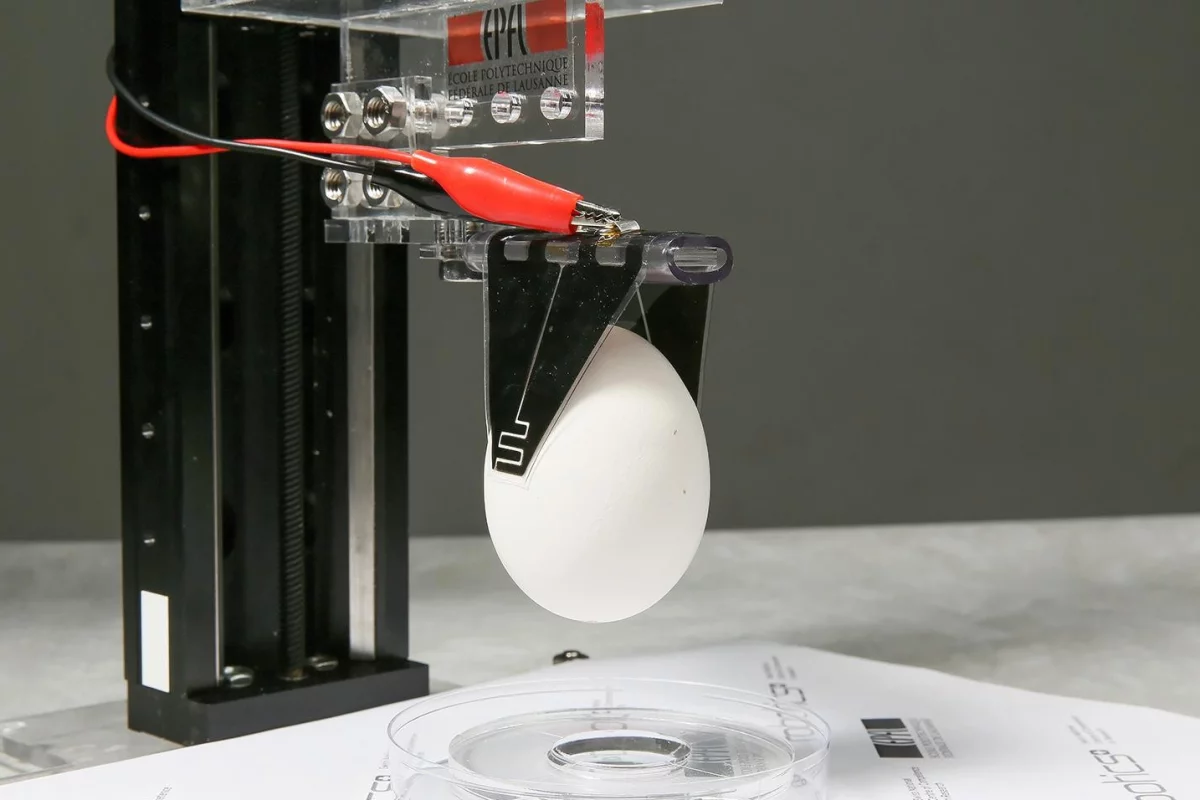 The robotic gripper can carry items 80 times its own weight