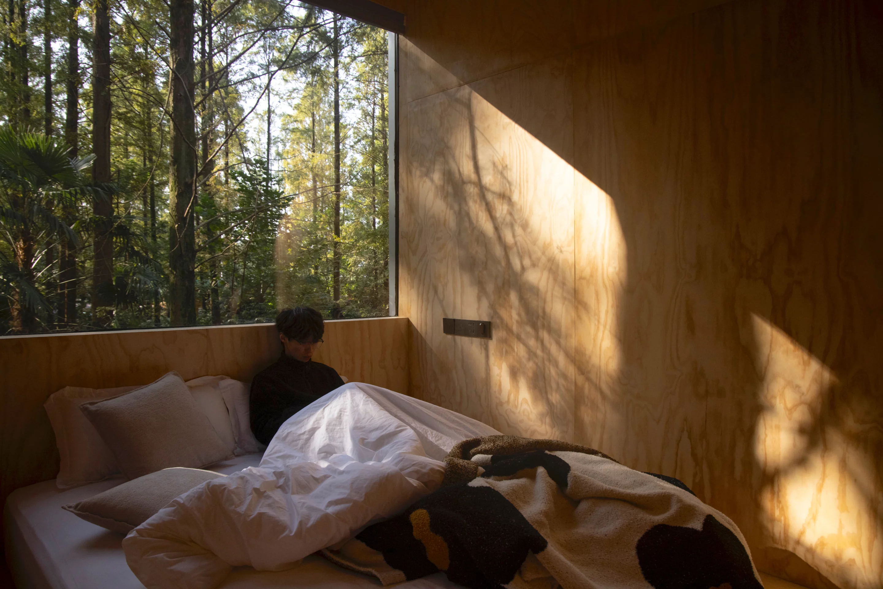 Shadows of branches drift across the cabin’s wooden façade