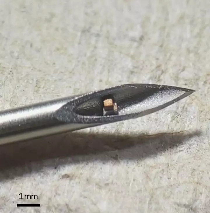 The world's smallest single-chip system, sits on the tip of a hypodermic needle