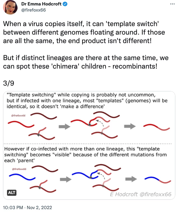 Virus researcher Emma Hodcroft explaining recombination