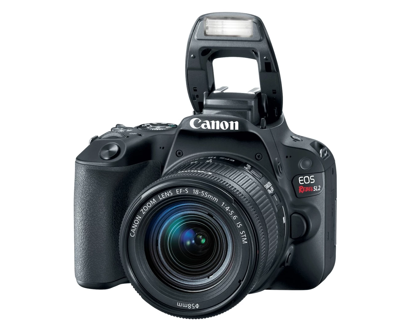 The Rebel SL2 is an entry-level DSLR from Canon