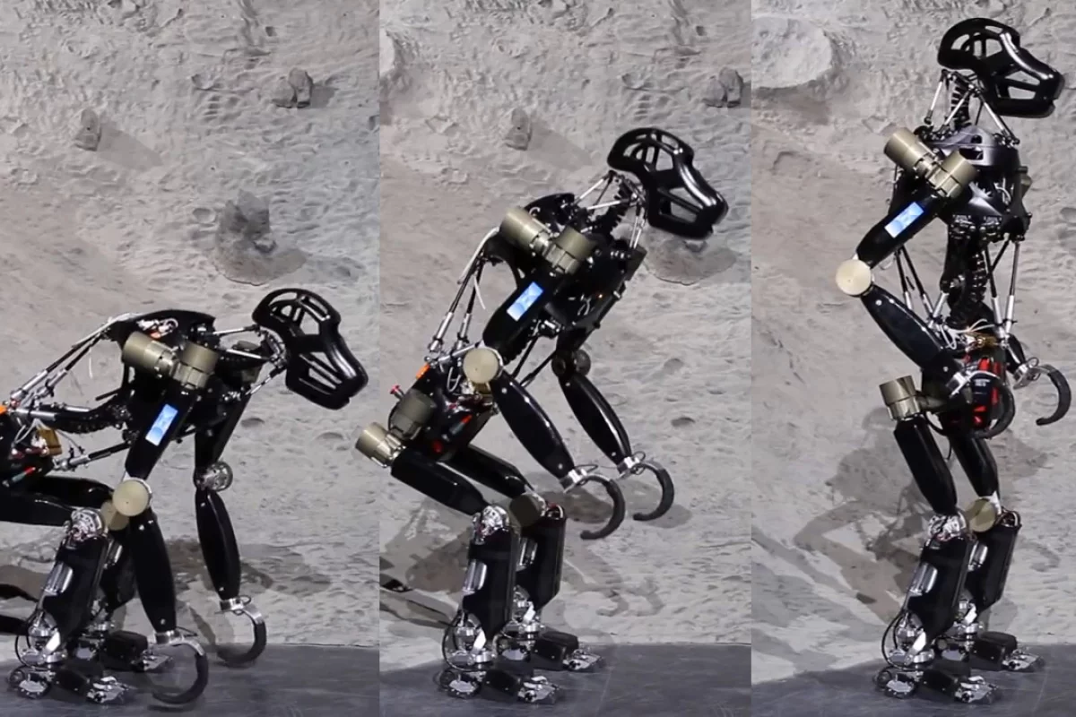 DFKI-Bremen's iStruct uses its active spine and multi-contact feet to transition from all fours to an upright position