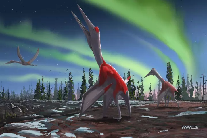 Cryodrakon boreas is known mainly from a partial juvenile skeleton that includes the wings, legs, neck and a rib