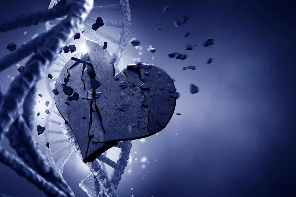 Researchers have traced our presdisposition to cardiovascular diseases back to a single gene mutation in an ancient human ancestor