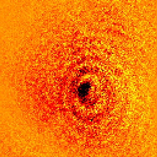 Image of the shadow of a single ytterbium atom (Image: Griffith University)