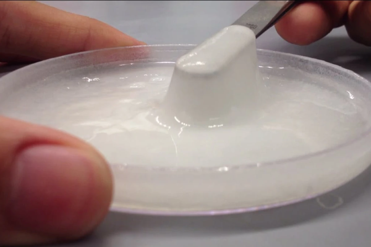A Wyss Institute team has leveraged a commercially-available enzyme called transglutaminase to directly bond chitosan biomaterial to bodily tissue