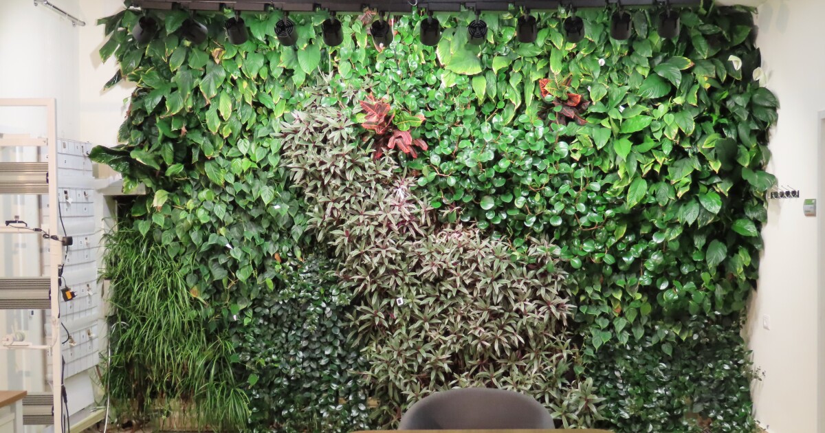 Researchers Develop VertINGreen To Predict Greenwall Performance | Let ...