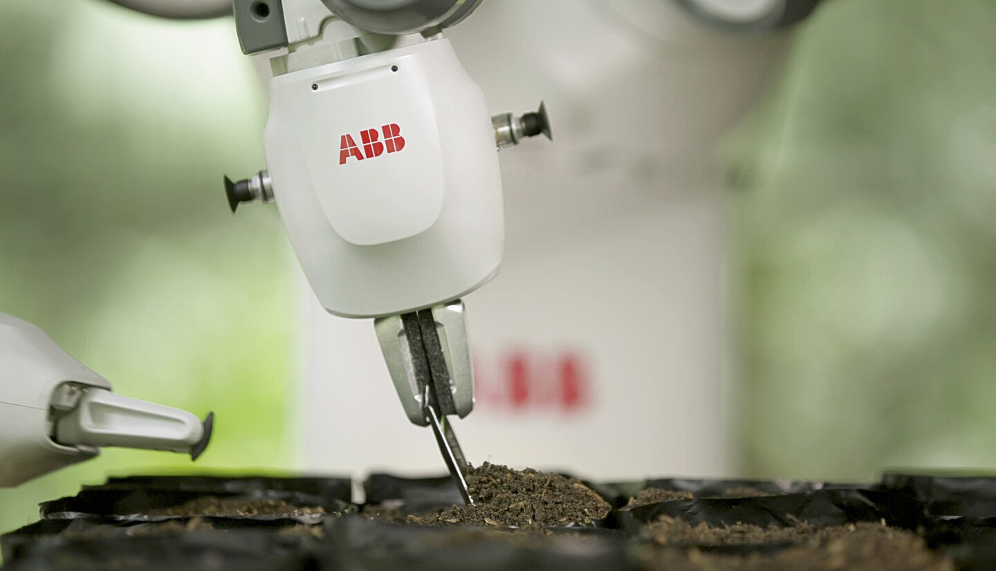 The dual-armed YuMi cobot digs a hole in the soil, drops in a seed and then covers it over before moving onto the next one