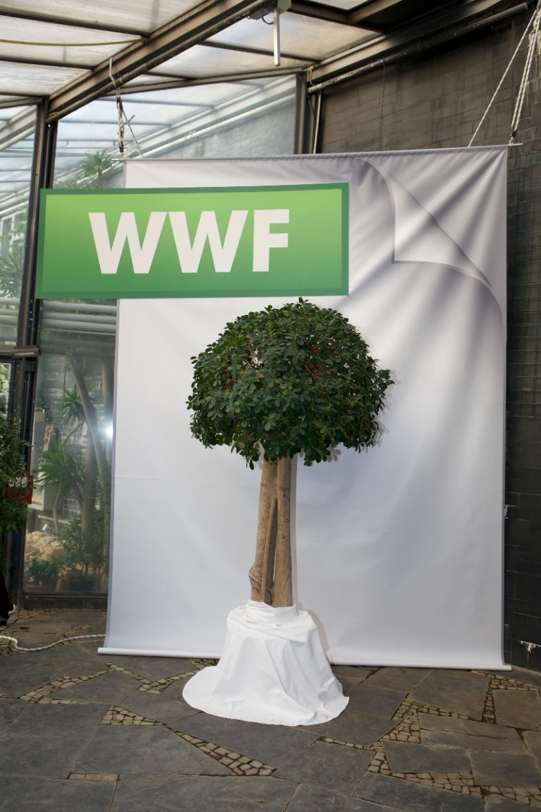 The launch of the Save As WWF document format in Hamburg