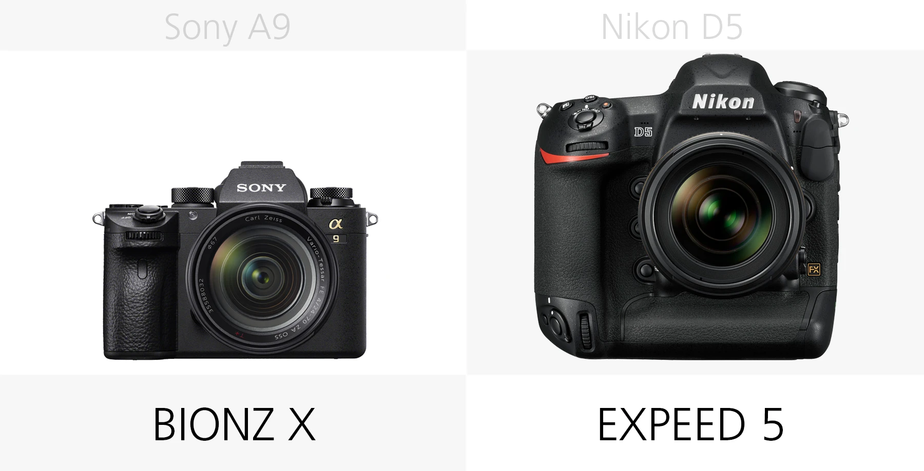 The image processors of the Sony A9 and Nikon D5 compared