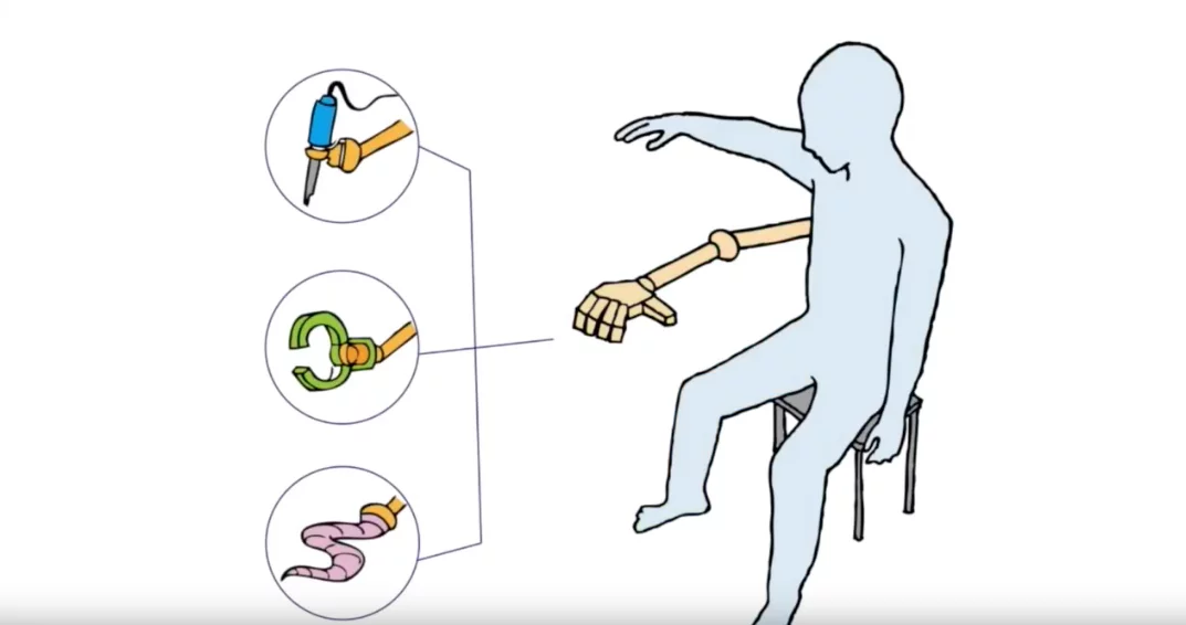 The robot limbs can be affixed with different tools