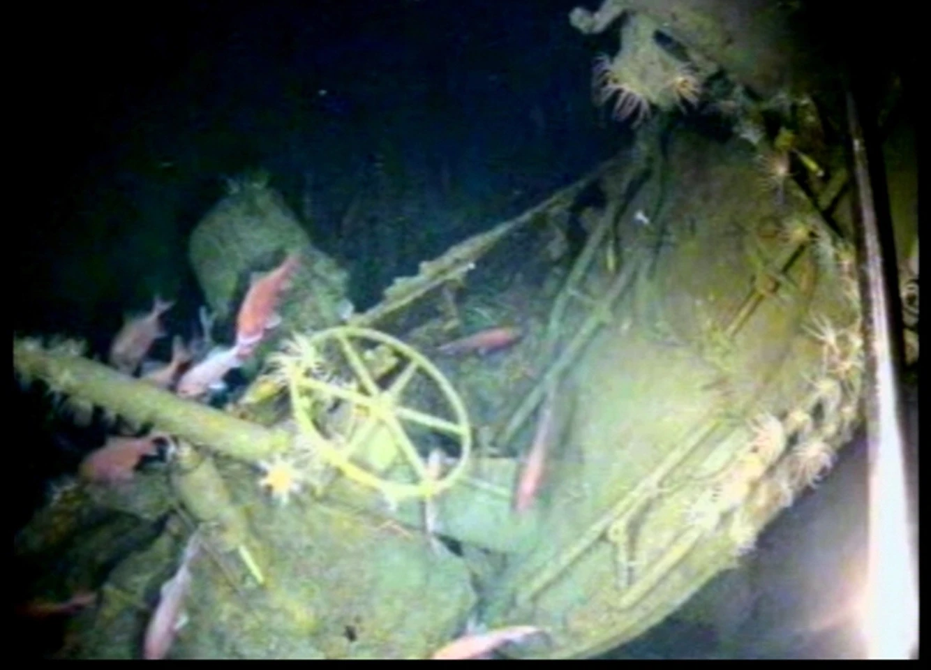 The submarine was found off the Duke of York Island group in Papua New Guinea
