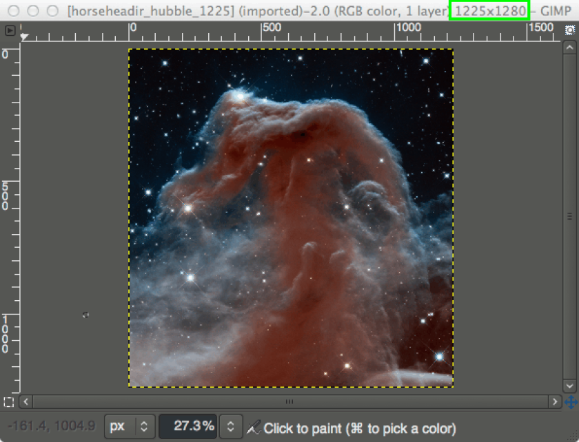 The open source image editor GIMP
