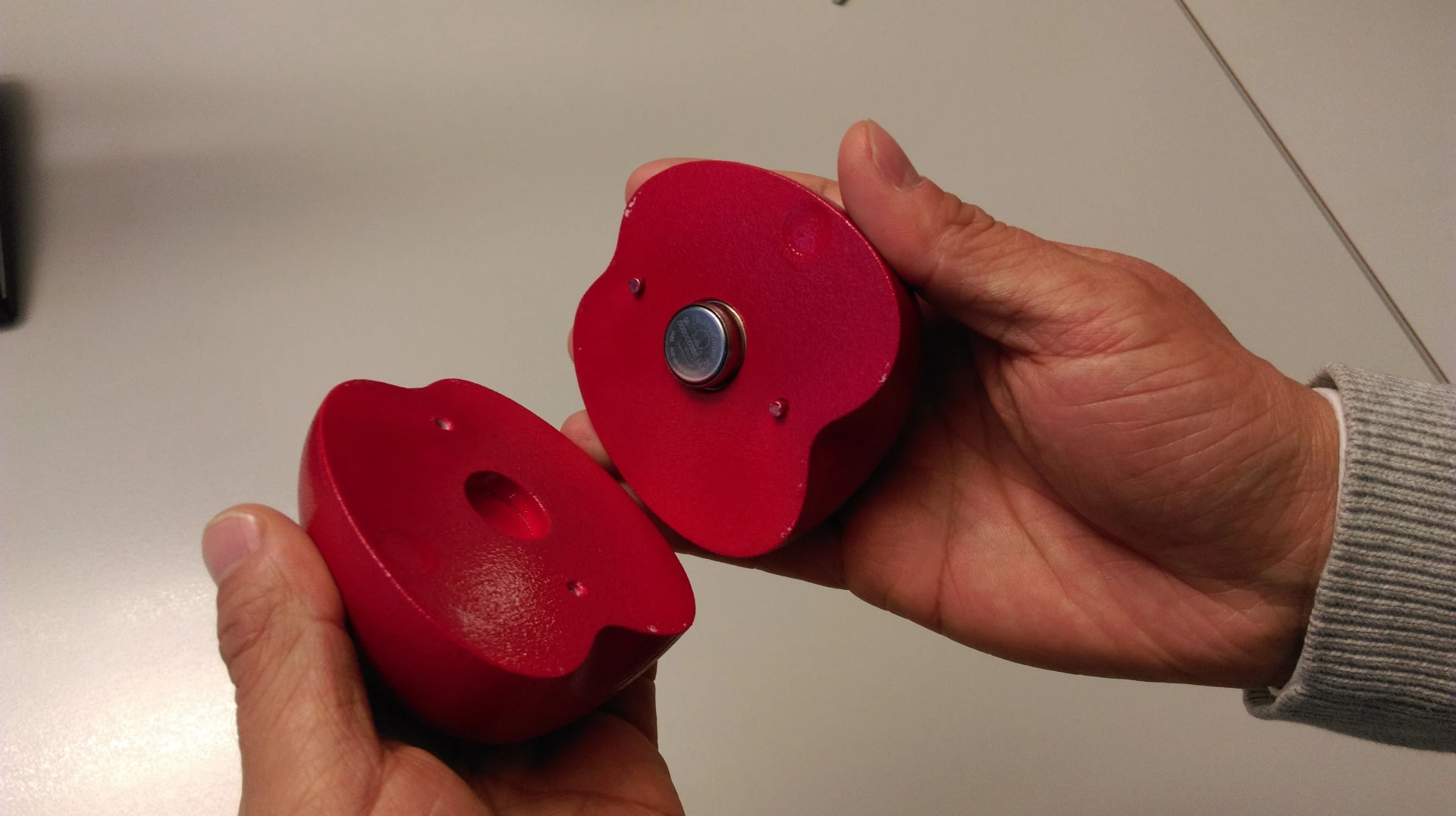 One of the sensors, disguised as a Braeburn apple