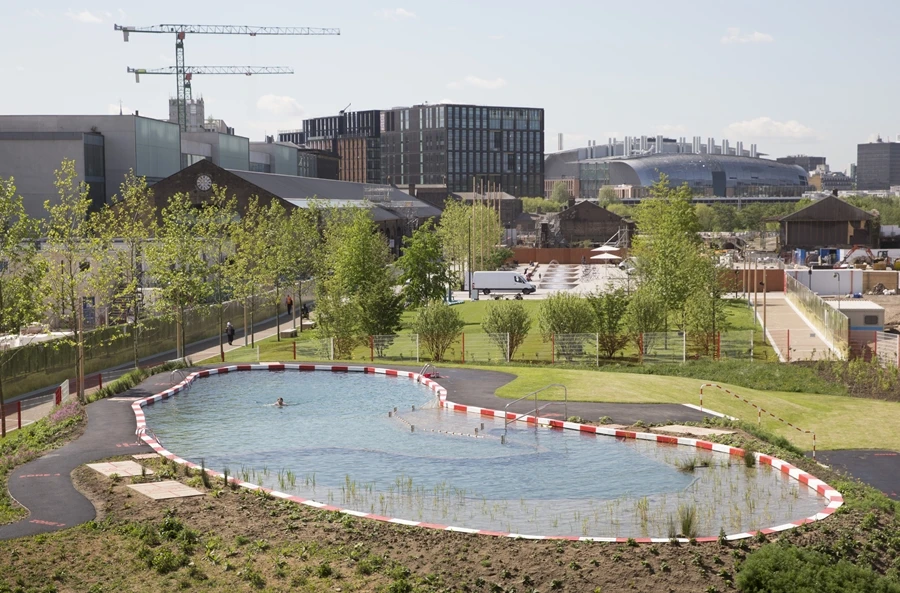 The King's Cross Pond Club freshwater swimming pond measures 40 x 10 m (131 x 33 ft)