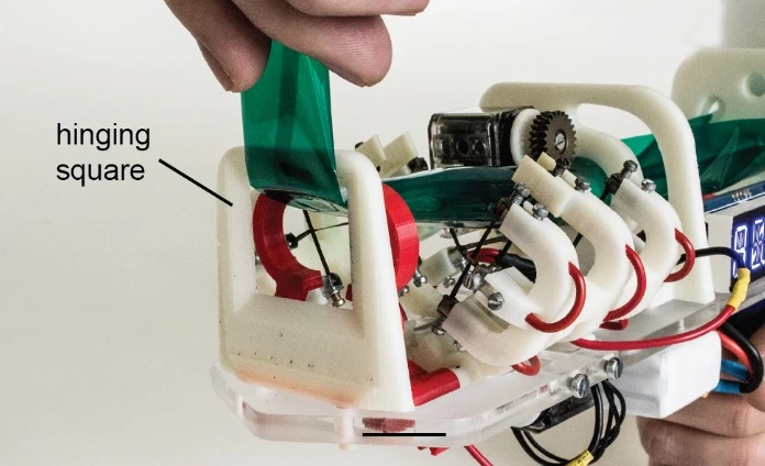 Hinges and other mechanisms can be formed as the tube is extruded