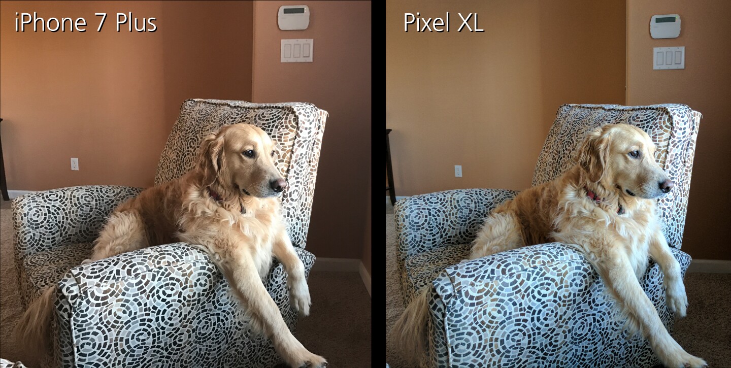 iPhone 7 Plus and Pixel XL medium-lit indoor samples